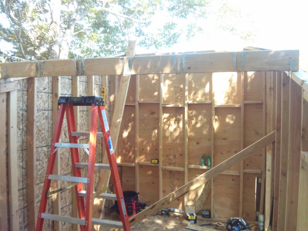 Center roof support. My ceiling joists tie into this.